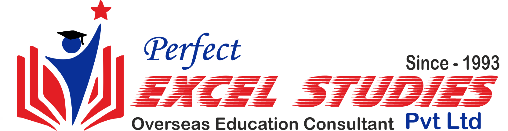 perfectexcel-logo-2
